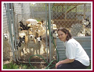 That strained smile comes from loving animals and trying to figure out how to make already overtaxed resources stretch to cover the unexpectedly large number of dogs needing help.