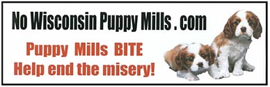 Puppy Mills Bite!