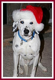 Toby patiently posed for photos even when his Mom had already taken, like, a million of them!