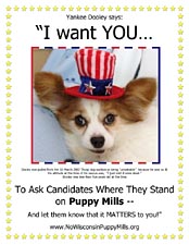 Dooley wants you to ask candidates where they stand on puppy mills and let them know that it matters to you.