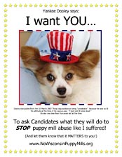 Dooley wants you to ask candidates to stop the suffering in puppy mills.