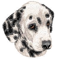 One of the many designs available for custom embroidery