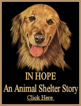 Golden Retriever graphic on link to In Hope: An Animal Shelter Story movie