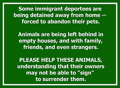 Deportees are having to leave pets behind