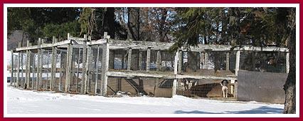 A WI breeding facility, March 2010