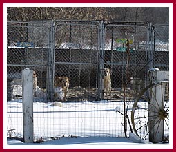 WI breeding facility, Dec 2010