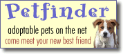 Petfinder Link