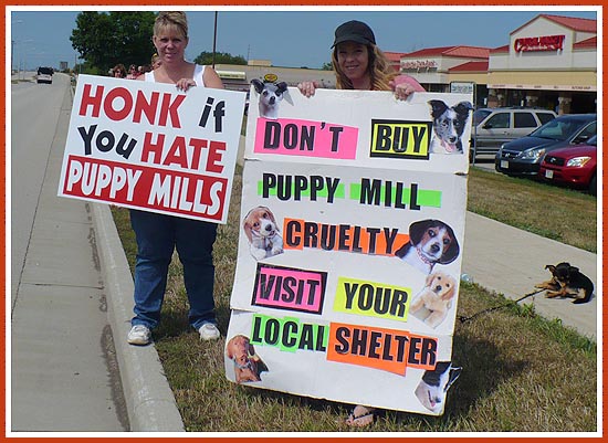 Protest at Petland in Pewaukee, WI, 23 Aug 08.