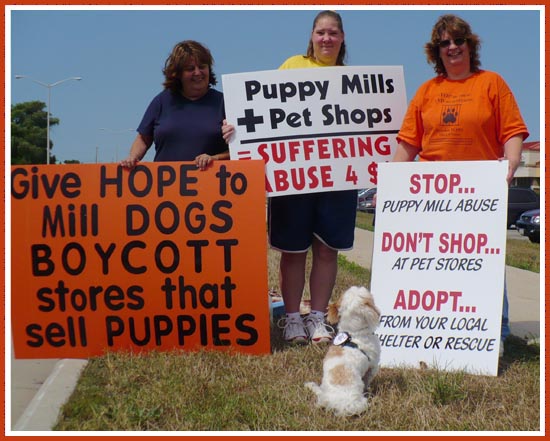 Pet Store Protest, Pewaukee Petland, 23 August 2008