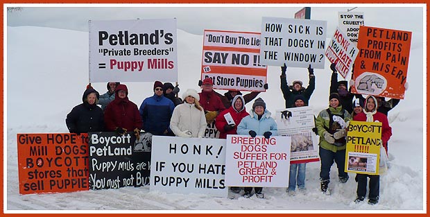 Milwaukee Pet Store Protest Group, Petland Pet Store, 10 January 2009
