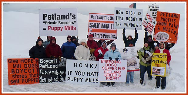 Milwaukee Pet Store Protest Group, Petland Pet Store, 10 January 2009