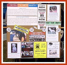 Informational sign from a recent petstore protest.