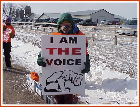 Thorp Dog Auction, 11 Mar 09: 50 protesters, frigid temperatures