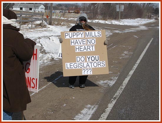 Thorp Dog Auction, 11 Mar 09: 50 protesters, frigid temperatures