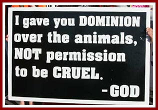 Protest sign seen at the 22 Sept 07 Thorp Dog Auction says "I gave you dominion over the animals, not permission to be cruel--God."