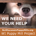 "Tile" graphic to use when linking to Wisconsin Puppy Mill Project.